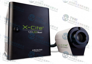  lumen X-Cite® 120LEDboost 荧光光源