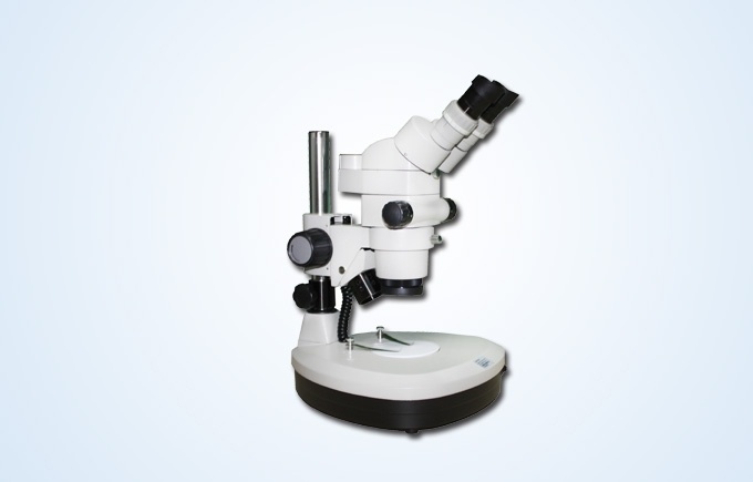 MZ81连续变倍体视显微镜