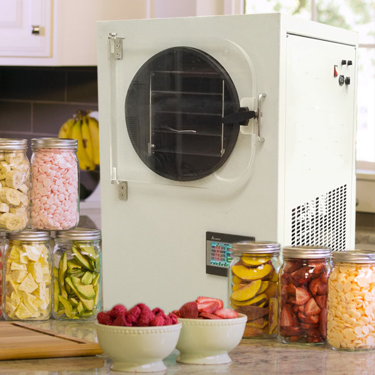 水果蔬菜用小型食品真空冷冻干燥机 中式冻干机