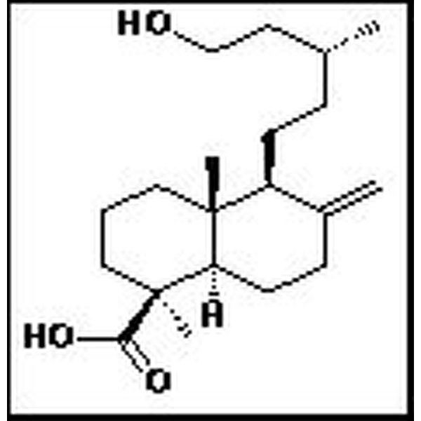 6832-60-6,南洋杉酸 Imbricatolicacid标准品