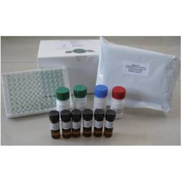 Helica赭曲霉毒素A检测试剂盒（血清、牛奶）