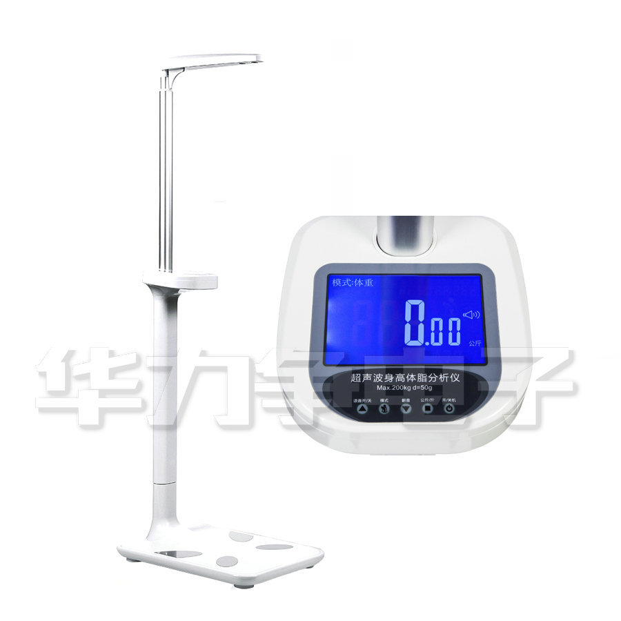 超声波体脂仪/身高体重测量仪
