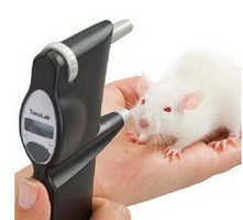 小动物眼压测量仪，大鼠眼压测量仪，小鼠眼压测量仪