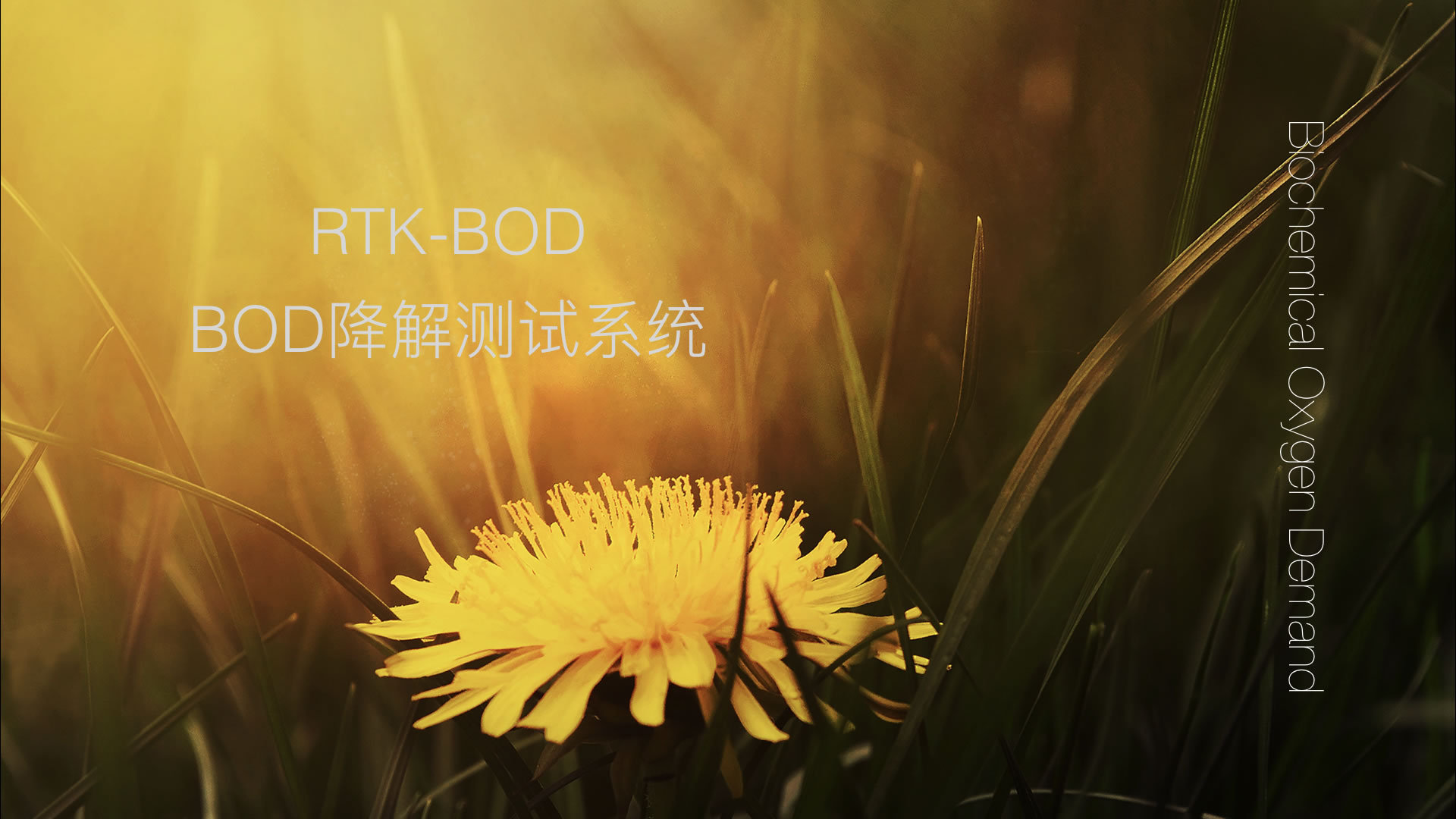 BOD降解测试系统