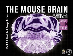 小鼠脑图谱 / The Mouse Brain