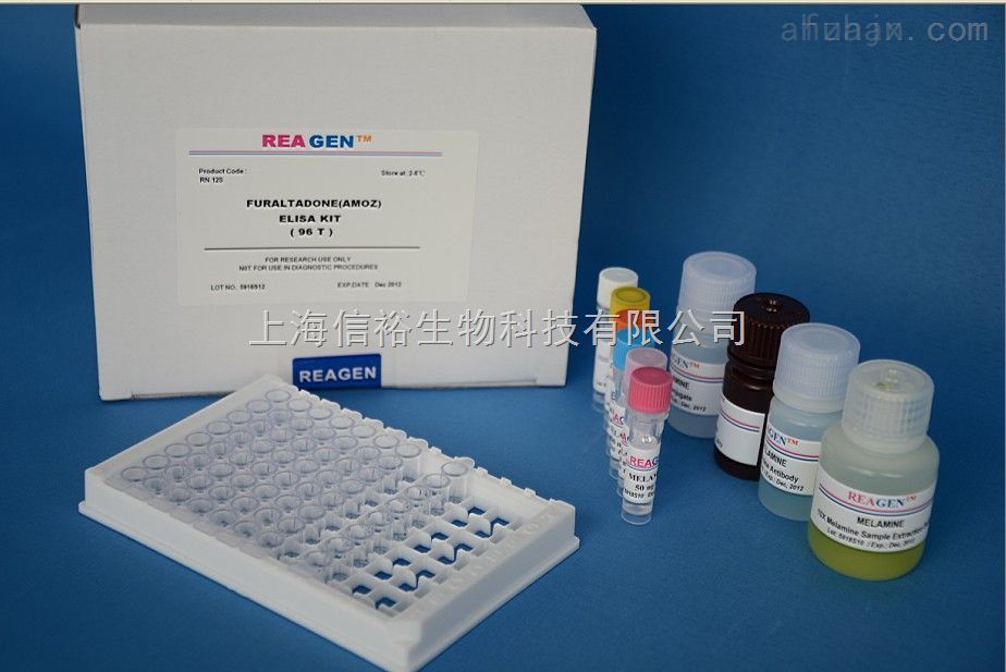 小鼠8羟基脱氧鸟苷(8-OHdG)ELISA试剂盒  
