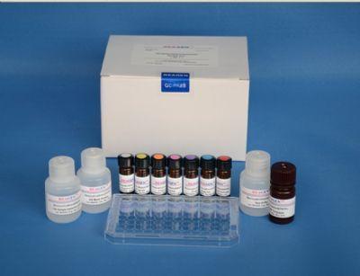 小鼠溶菌酶(LZM)ELISA试剂盒 