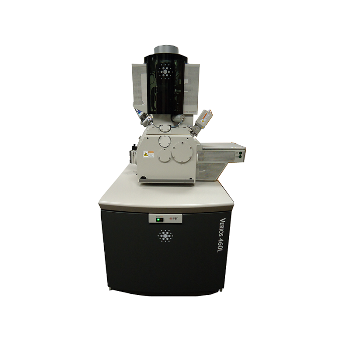 FEI Verios  XHR SEM 扫描电子显微镜