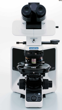 Olympus专业偏光显微镜BX53-P