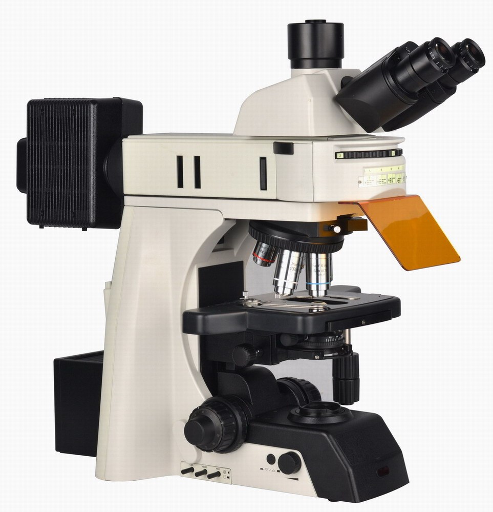 蔡康科研级正置荧光显微镜DFM-88C