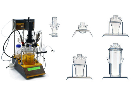 LAMBDA MINIFOR 发酵生物反应器