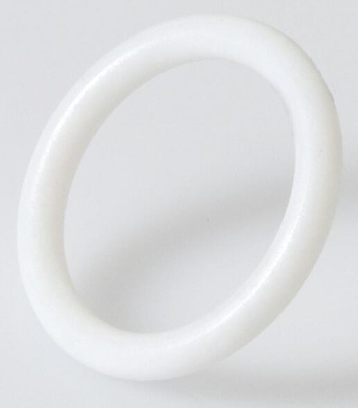 Waters O-Ring, PTFE WAT076152