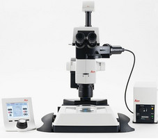 徕卡M165FC荧光立体显微镜
