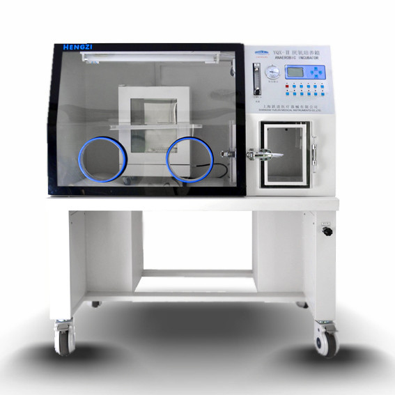 跃进（恒字）- HYQX-I/II型 厌氧培养箱