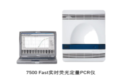 实时荧光定量PCR仪