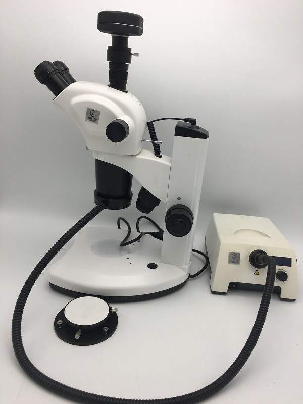 体视显微镜KOSTER SMC 900T