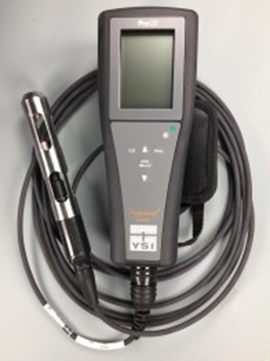 美国YSI 维赛 PRO 20便携式溶解氧DO测定仪