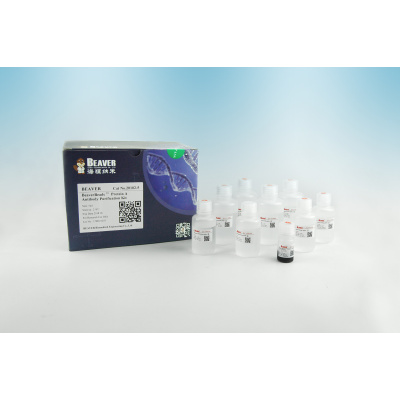 BeaverBeads&#8482; Protein A/G Antibody Purification Kit 