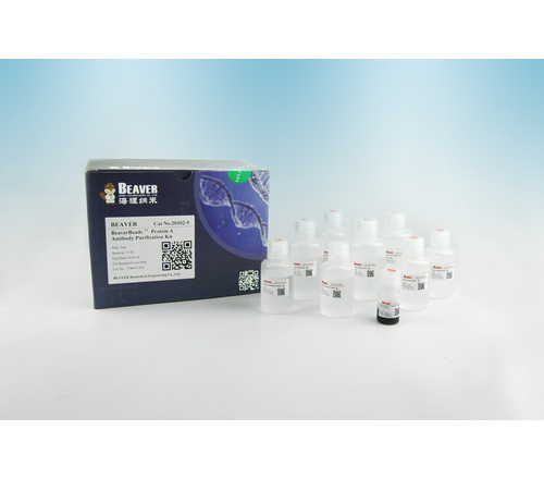 BeaverBeads&#8482; Protein A/G Antibody Purification Kit 