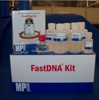 MP安倍授权经销商 FastDNA Kit DNA试剂盒