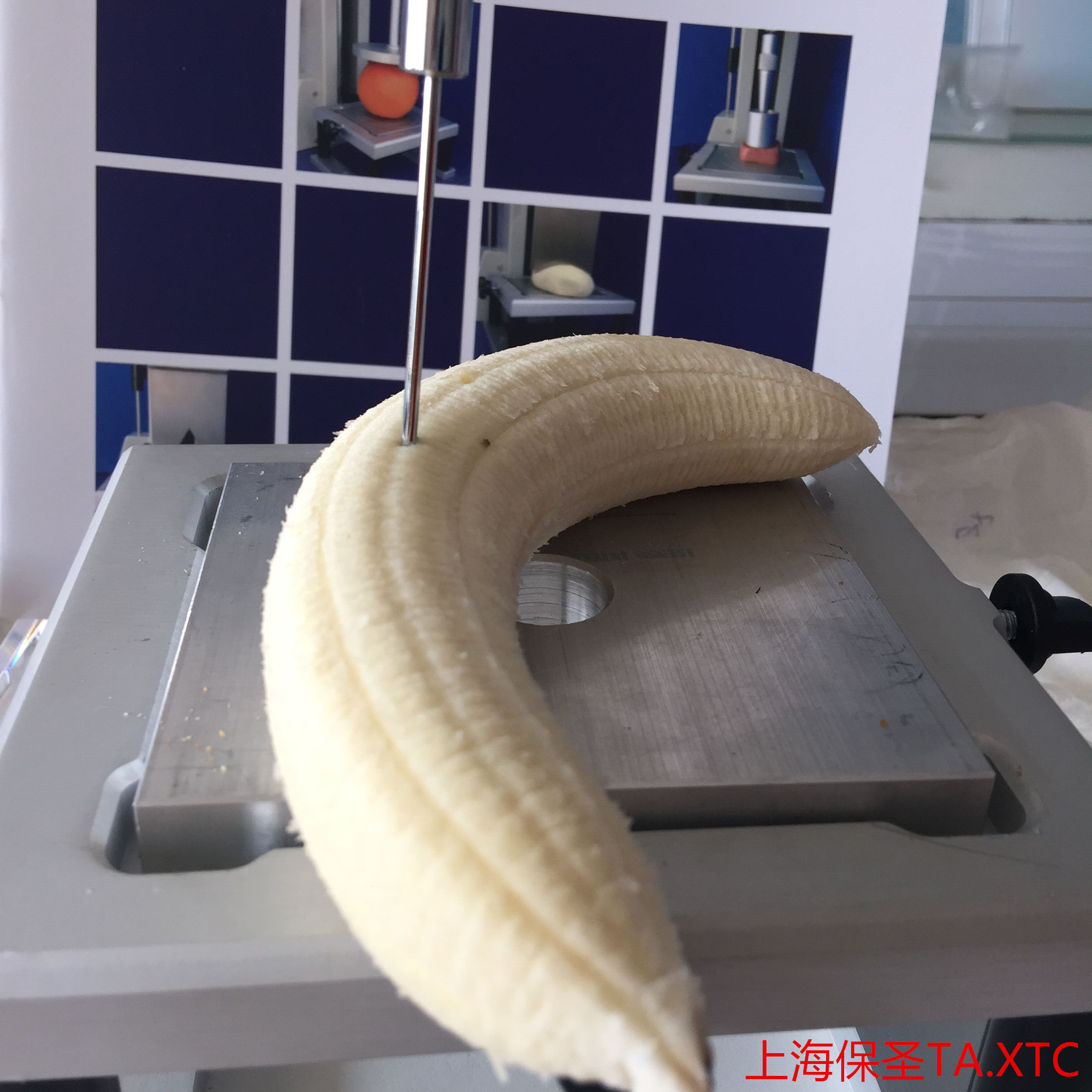 水果硬度测试仪-上海保圣TA.Touch