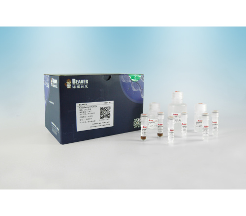 海狸核酸提取磁珠PCR产物纯化磁珠70401-100