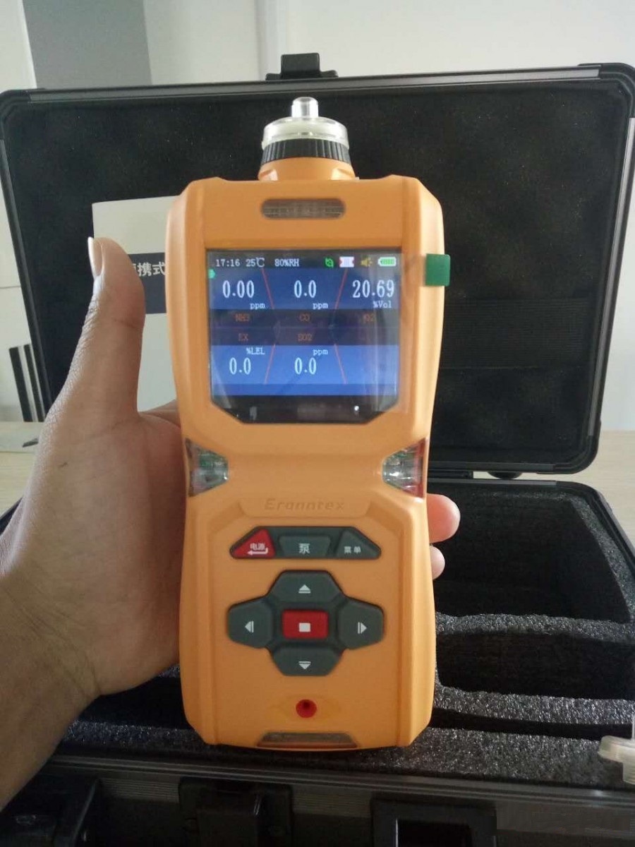HCX600-6 复合式气体检测仪