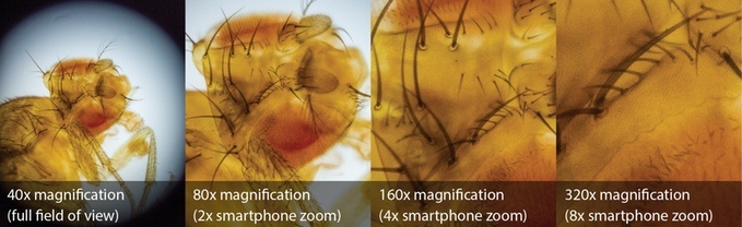 µPeek 专业便携式显微镜 增强版（带荧光）