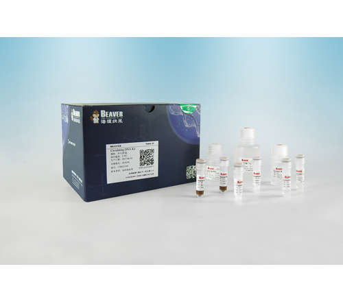 BeaverBeads&#8482; Circulating DNA Kit 游离DNA提取试剂盒