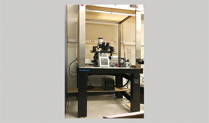 TMC CleanBench™隔振桌光学平台