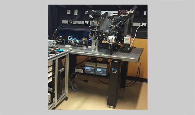 TMC CleanBench&trade;隔振桌光学平台