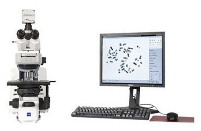 Ikaros-染色体核型分析系统
