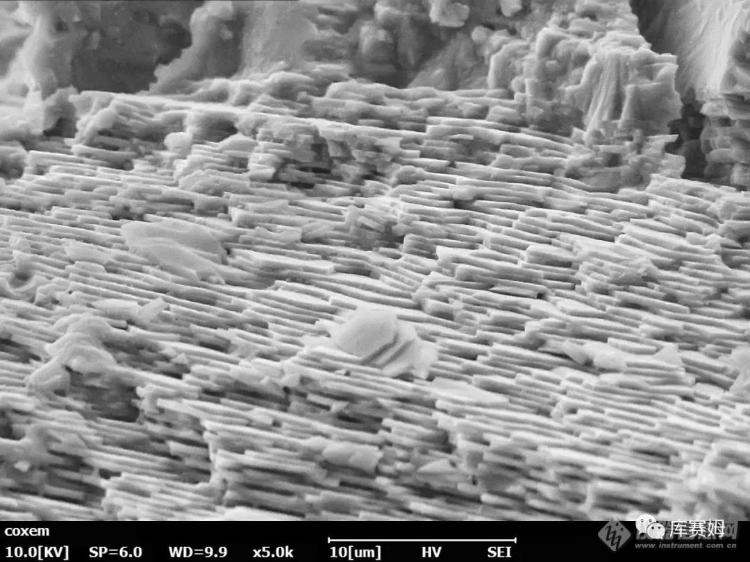 微观世界|第26期 贝壳结构中的电子显微结构