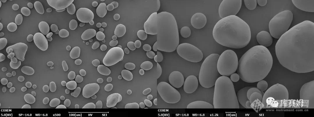 微观世界|第27期 SEM在淀粉颗粒中的应用