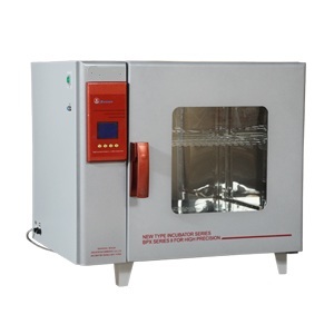 电热恒温培养箱型号BPX-82