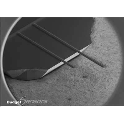 Multipurpose AFM ProbeElectriAll-In-One