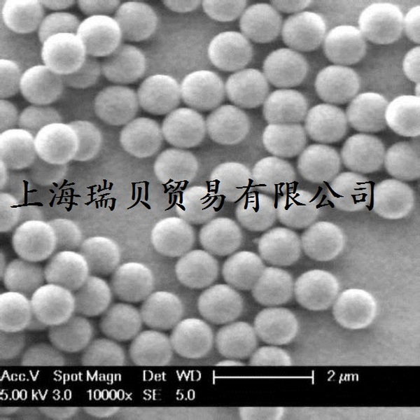 聚乙烯纳米微球