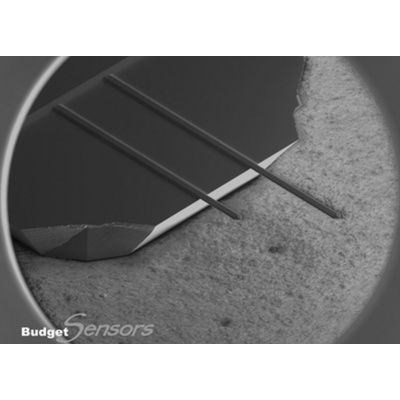 Multipurpose AFM Probe ElectriAll-In-One