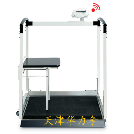 电子秤/座椅体重仪/北京台秤