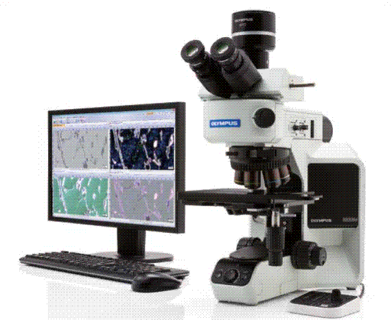 奥林巴斯工业正置显微镜BX3M系列-BX53M