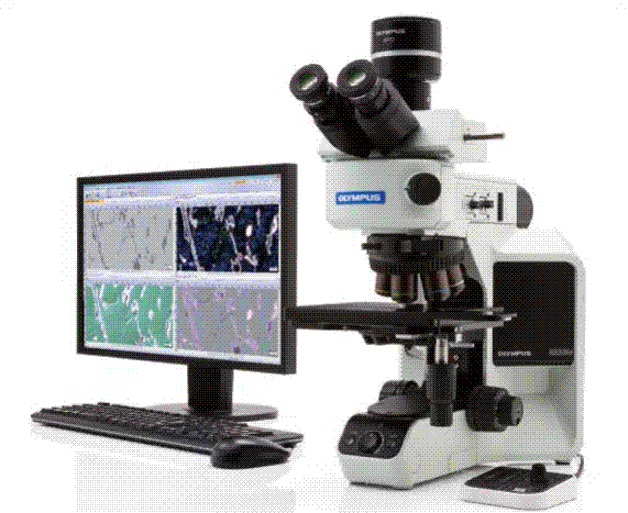 奥林巴斯工业正置显微镜BX3M系列-BXFM