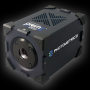 Photometrics科学级CMOS相机 Prime BSI