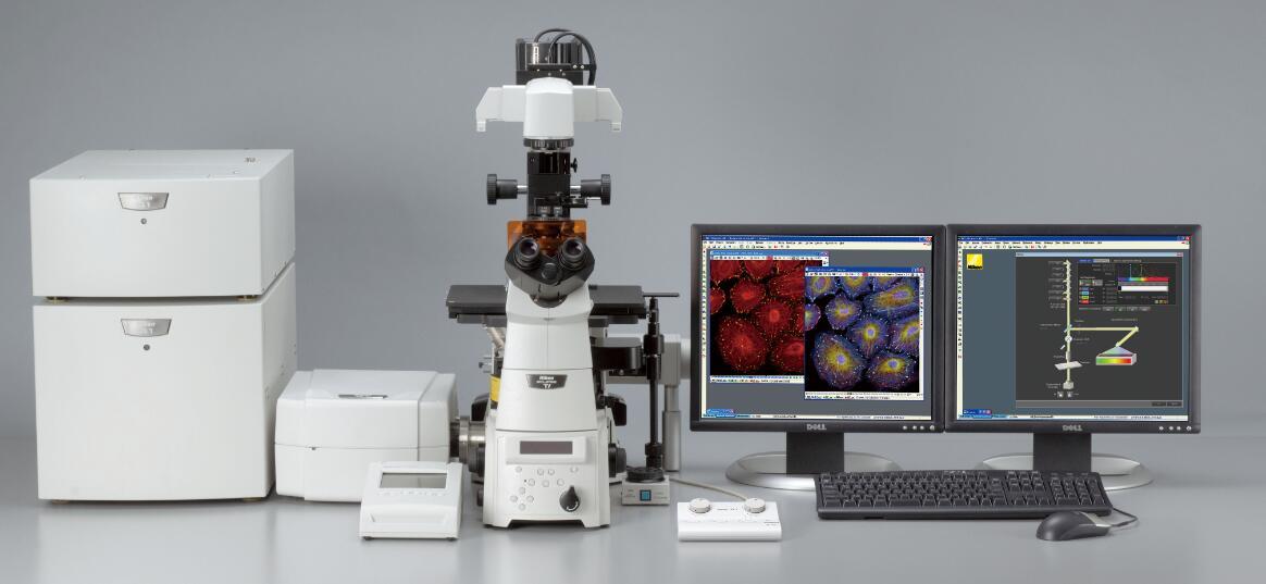 尼康A1+激光共聚焦显微镜