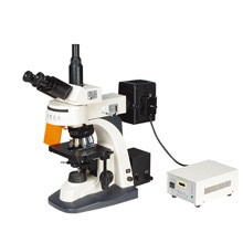 XYL-606荧光显微镜