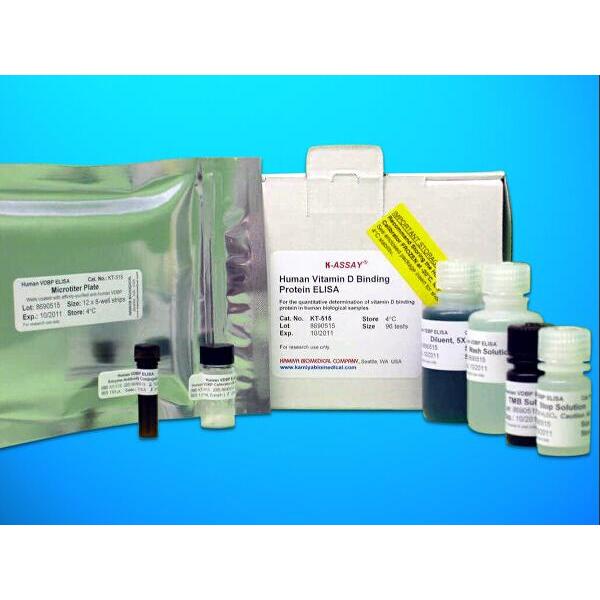 ADMA试剂盒；不对称二甲基精氨酸(ADMA)ELISA试剂盒