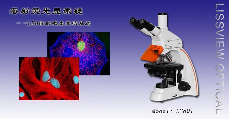 LED落射荧光显微镜