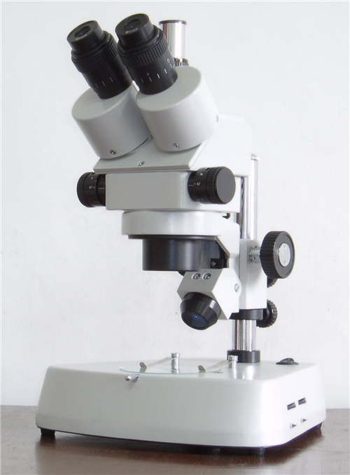 XTB-1A（1B）双目(三目)体视显微镜