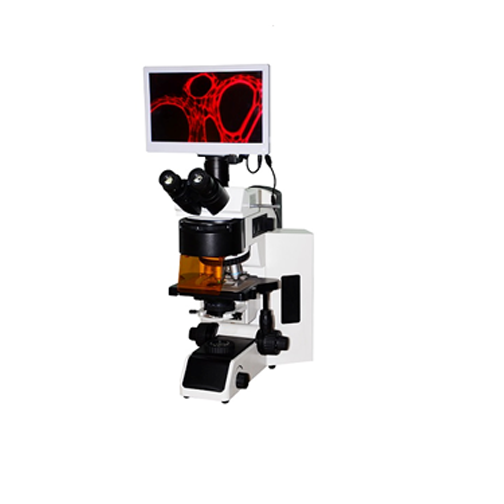 五波段LED荧光显微镜 FM-YG100