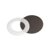 Replacement Rupture Disks | 26324