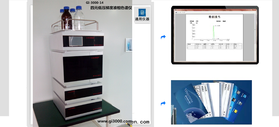 四元梯度低压液相色谱仪（自动系统）